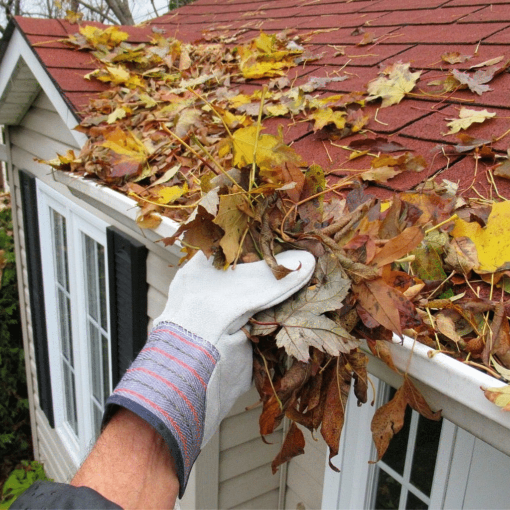 Gutter Cleaning in Daytona Fl