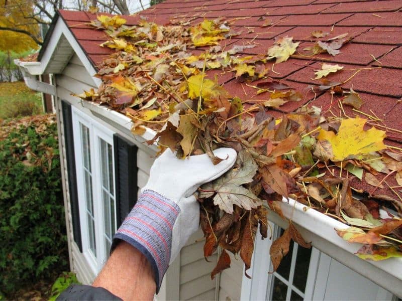 Gutter cleaning Companies in Daytona, FL